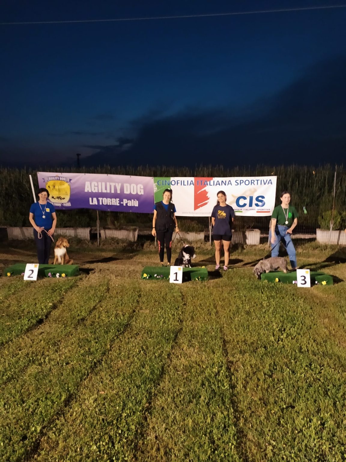 Rally Obedience Alla Torre Agility Dog Federazione Cinofila